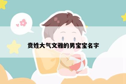 贲姓大气文雅的男宝宝名字